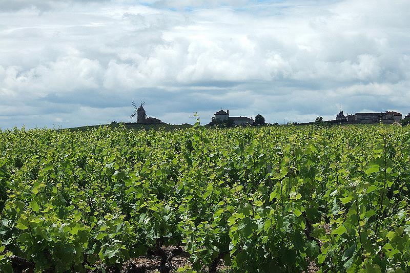 2010-06- (132).JPG - Le Moulin à Vent - jetzt wechseln wir von der Region "Bourgogne" in die Region "Rhône-Alpes" und befinden uns im Département Rhône - also sind wir geografisch in Südfrankreich